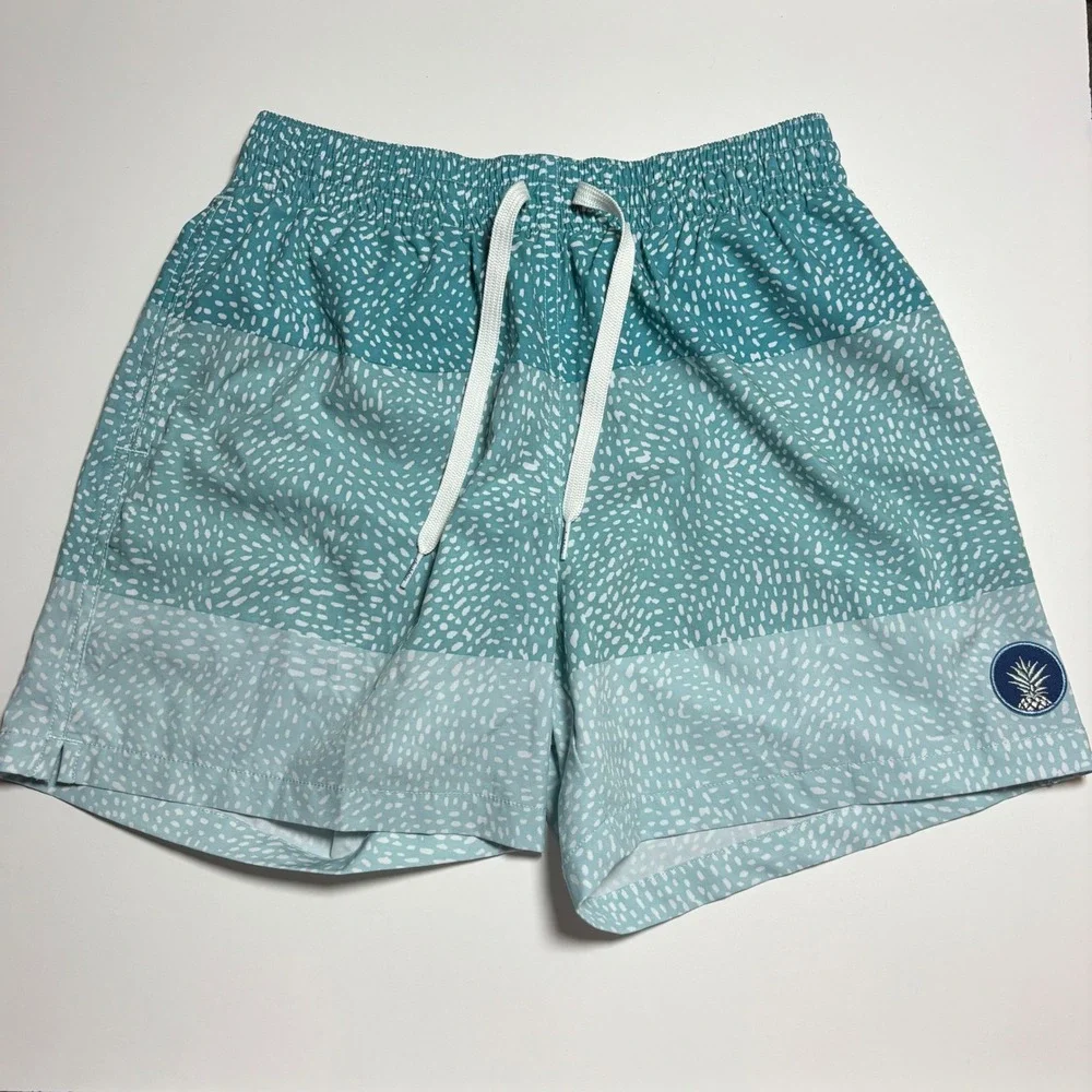 chubbies these swim